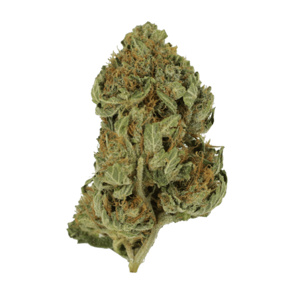 Bubblegum – 1 ounce | Get Kush Canada