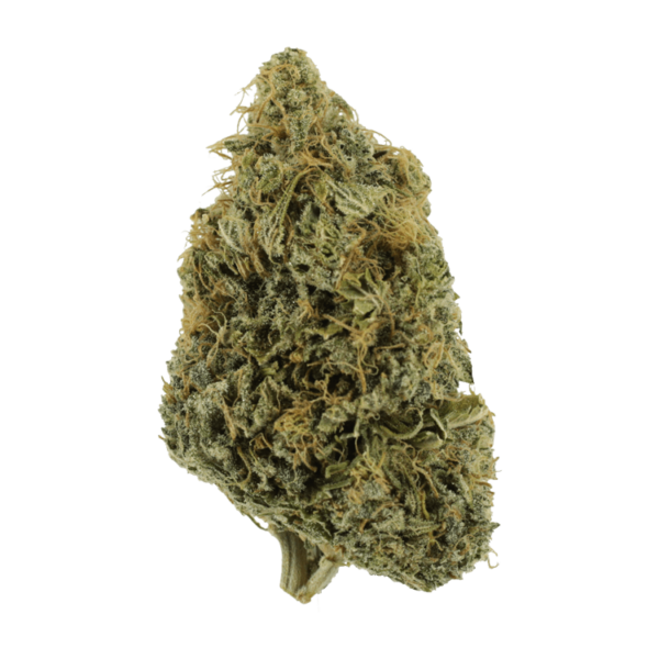 NYC Diesel | Get Kush Canada
