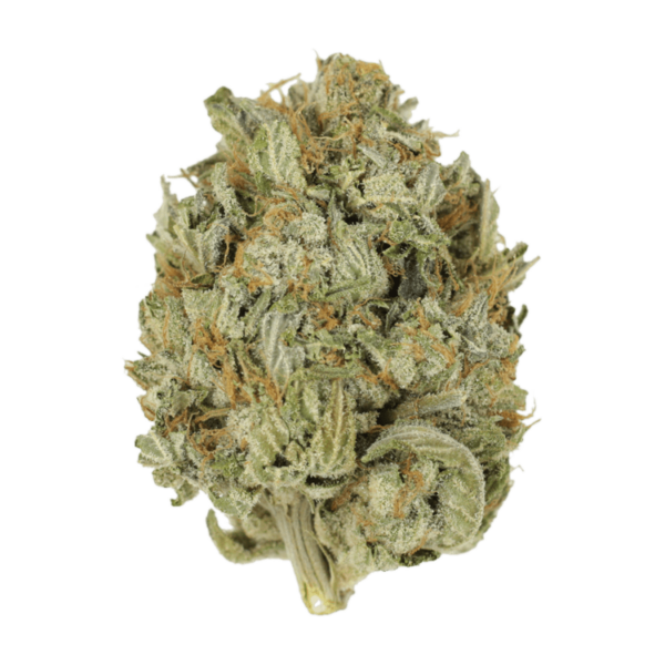 Blue Dream (Popcorn) | Get Kush Canada