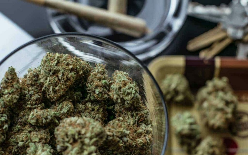 Premium cannabis vs Affordable Weed | Get Kush Canada