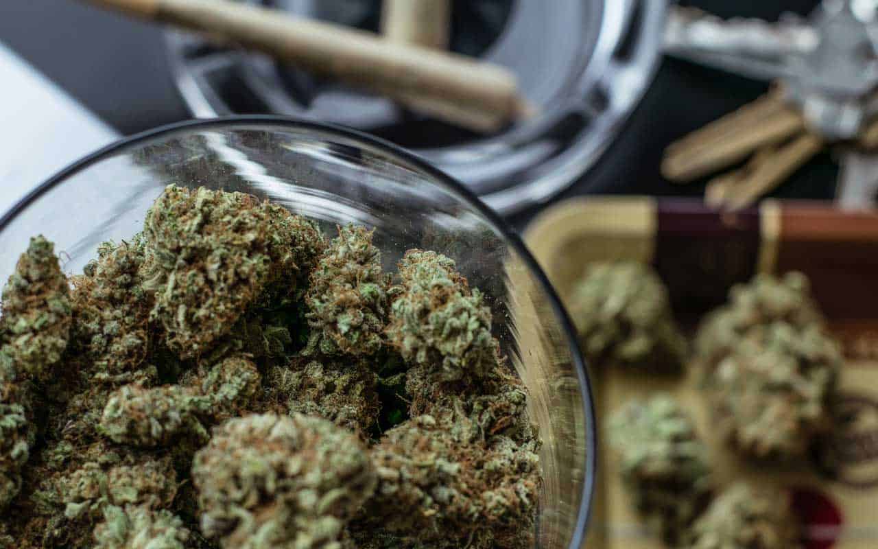 Premium cannabis vs Affordable Weed | Get Kush Canada