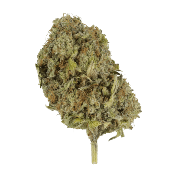 Chemo | Get Kush Canada