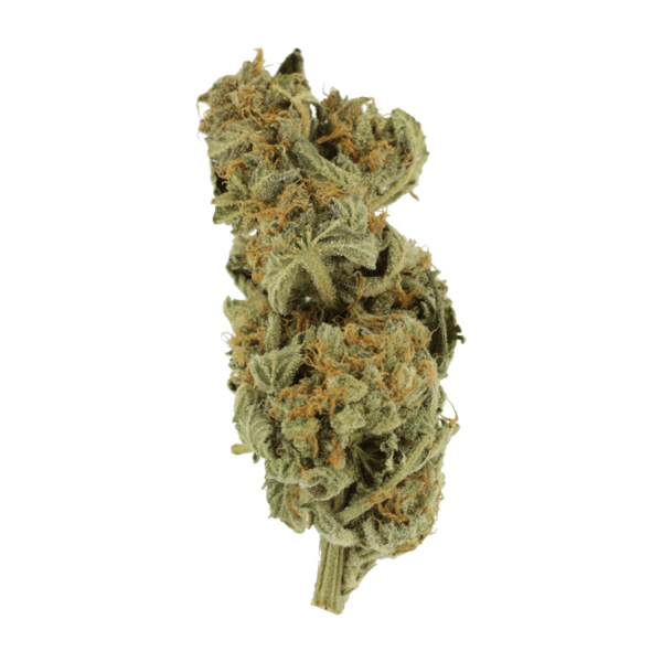 Gorilla Glue | Get Kush Canada