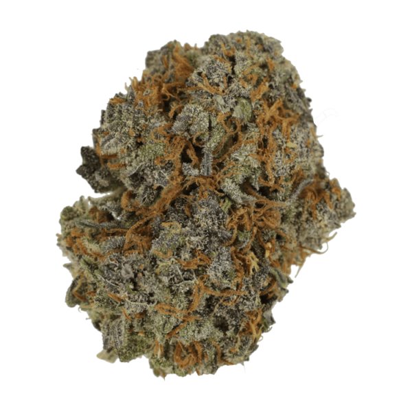 Jack Herer 1 Ounce | Get Kush Canada