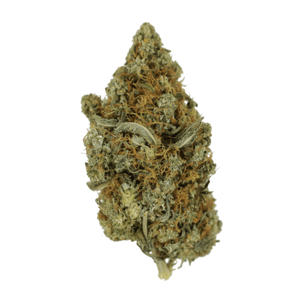 Jack Herer 1 Ounce | Get Kush Canada