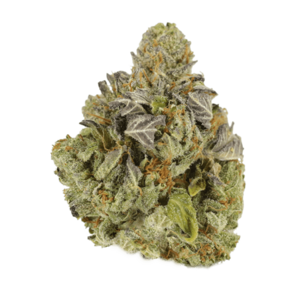 Jet Fuel | Get Kush Canada