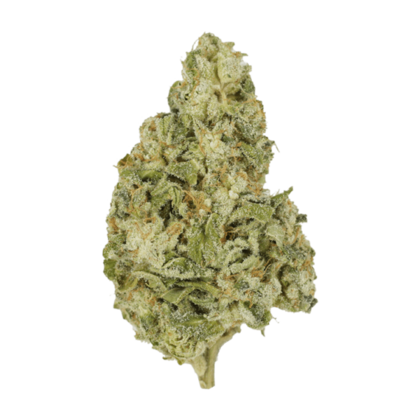Zombie OG | Get Kush Canada
