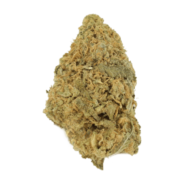 Zombie OG | Get Kush Canada