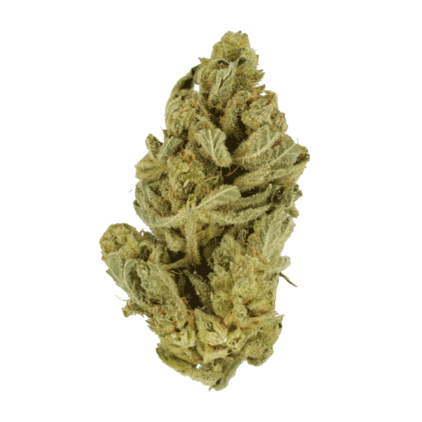Hindu Kush – 7g | Get Kush Canada