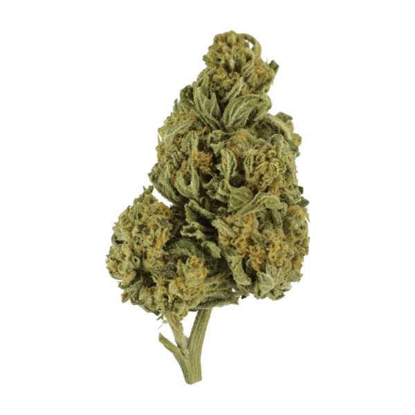 Blackwater | Get Kush Canada