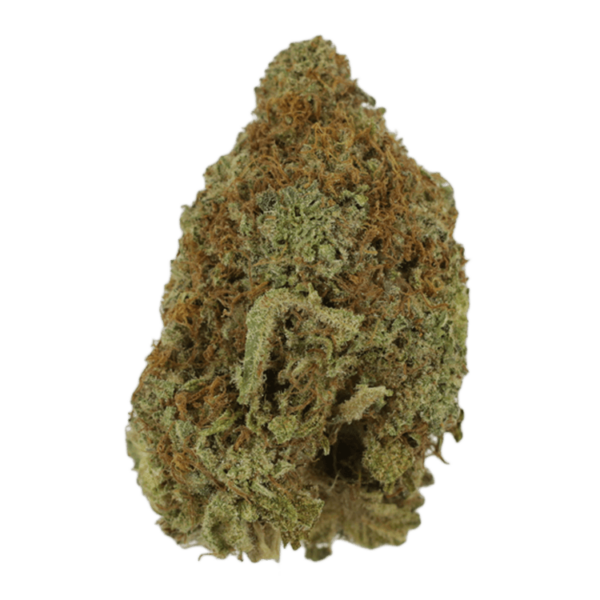 Mango Haze | Get Kush Canada