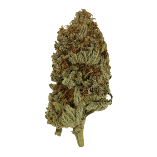 Congo | Get Kush Canada