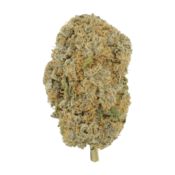 Pine Tar - | Get Kush Canada