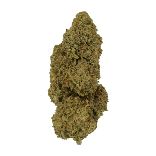 9lb Hammer | Get Kush Canada