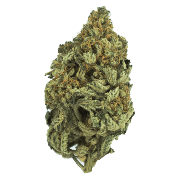 Bakerstreet | Get Kush Canada
