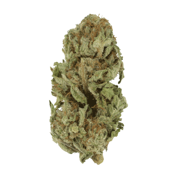 Golden Goat | Get Kush Canada