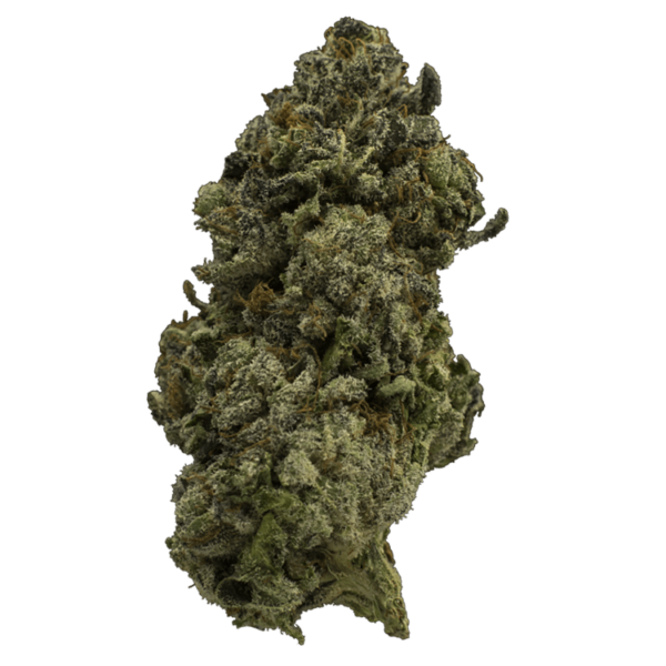 Fire Alien Urkle | Get Kush Canada