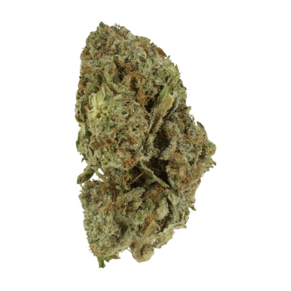 Gelato Sorbet – 1 ounce | Get Kush Canada