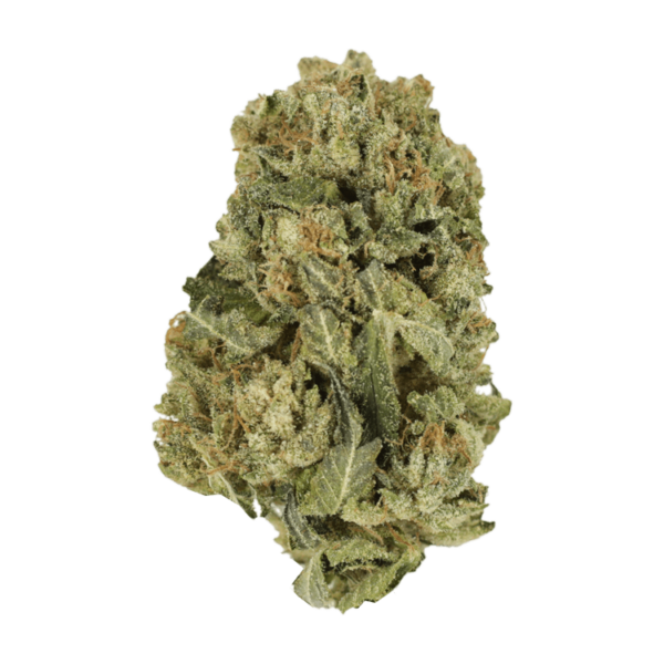 Black Domina | Get Kush Canada