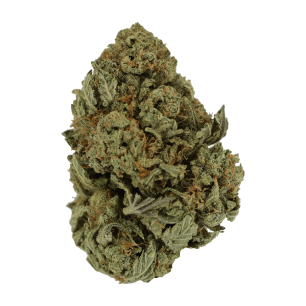 Master Kush Ultra | Get Kush Canada