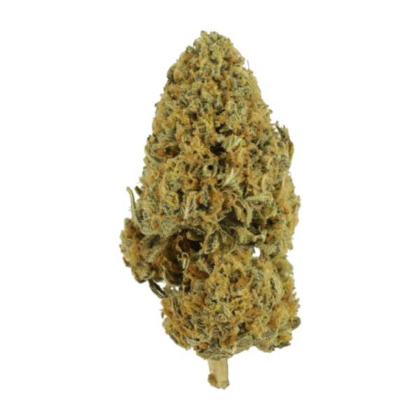 Grapefruit – 1 ounce | Get Kush Canada