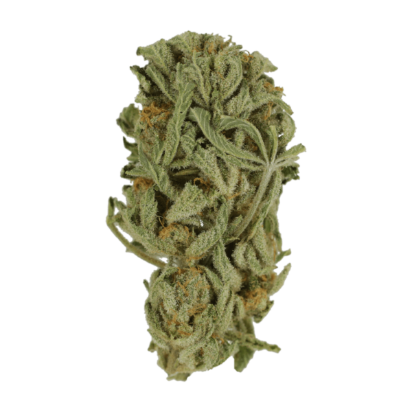 Master Kush Ultra | Get Kush Canada