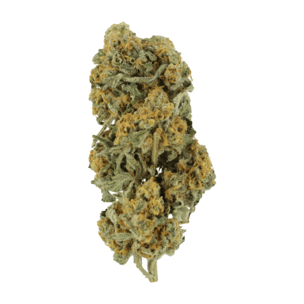 Miracle Alien Cookies | Get Kush Canada