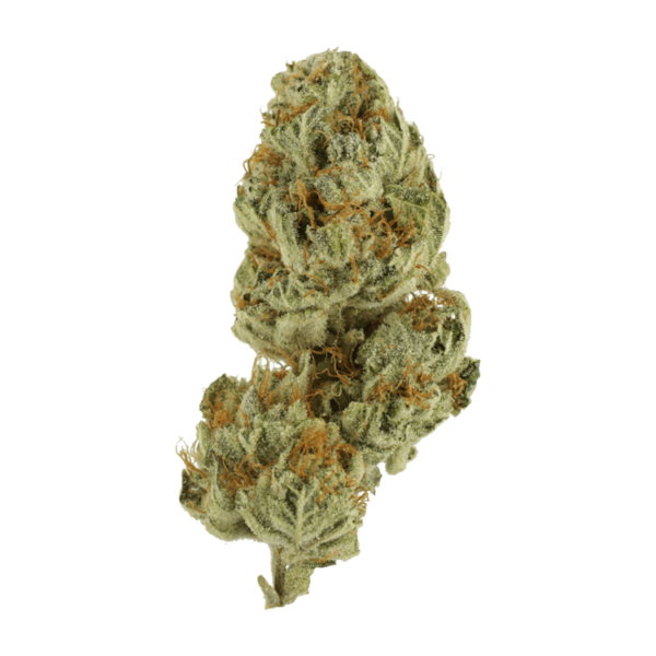 Strawberry Glue | Get Kush Canada