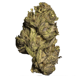 Dosi Dos | Get Kush Canada