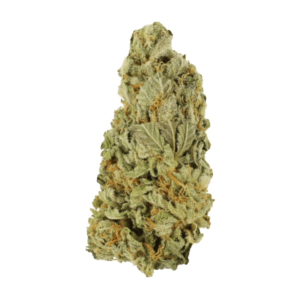 Green Congo | Get Kush Canada