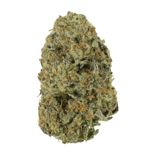 Northern Haze Express | Get Kush Canada
