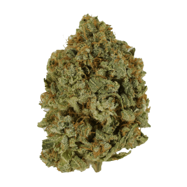 Crazy Glue | Get Kush Canada