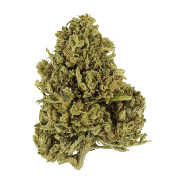 Cherry Wine (CBD) | Get Kush Canada