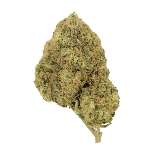 Mr Clean | Get Kush Canada
