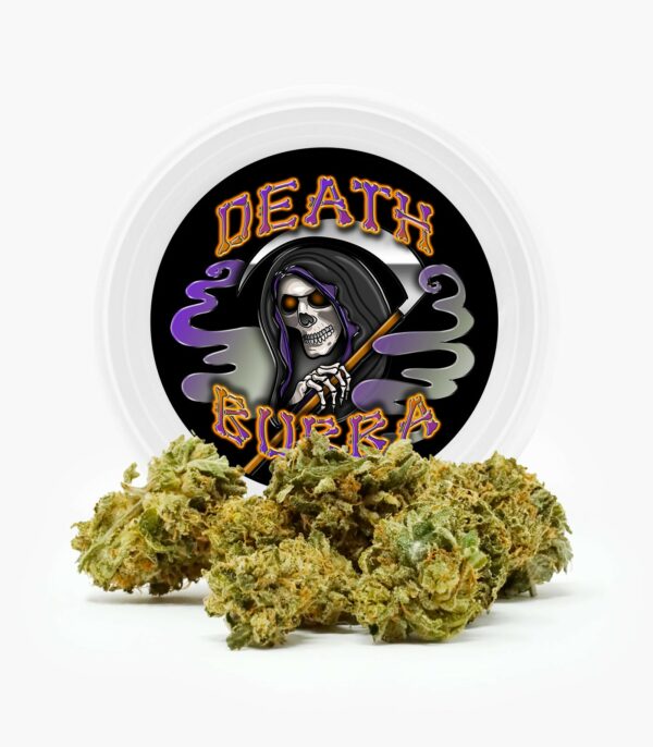 Westcoast Cali Tins – Premium Flower – Skywalker OG – 3.5g | Get Kush Canada