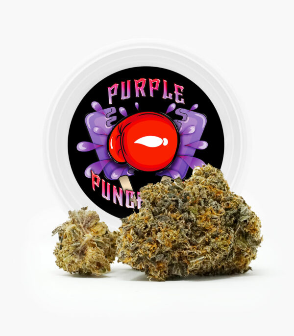Westcoast Cali Tins – Premium Flower – Purple Punchsicle – 14g | Get Kush Canada