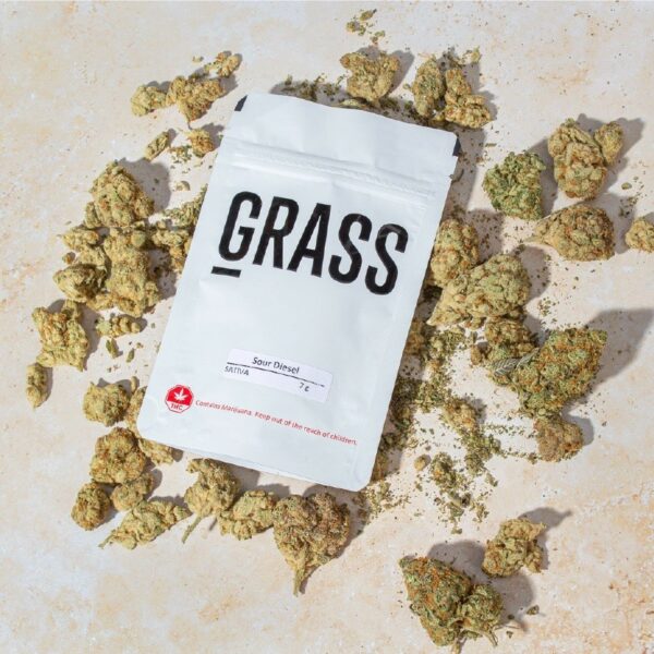 1/2OZ Sample Pack (AAA) – SAVE 20% | Get Kush Canada