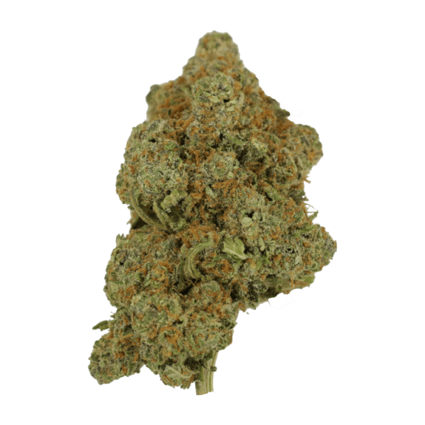 Tropicana Cookies | Get Kush Canada