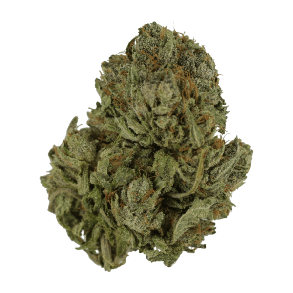 Salt Pot – Corn Nuts – 250mg THC | Get Kush Canada