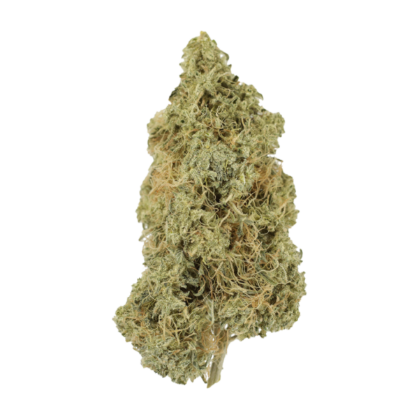 Tropicana Cookies | Get Kush Canada