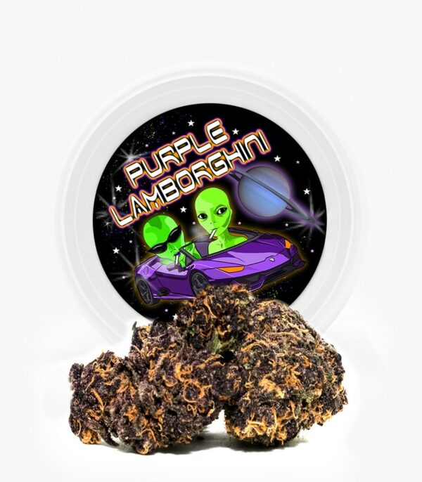 Westcoast Cali Tins – Premium Flower – Purple Lamborghini – 3.5g | Get Kush Canada