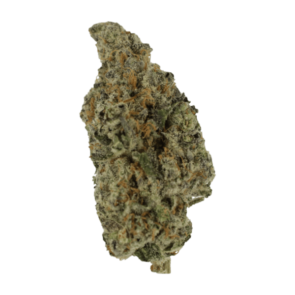 Biscotti Sundae | Get Kush Canada
