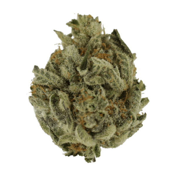 Biscotti Sundae | Get Kush Canada