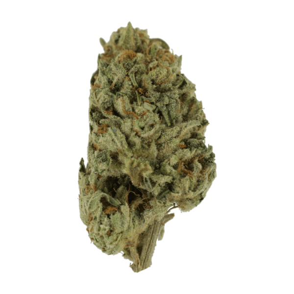 Biscotti Sundae | Get Kush Canada
