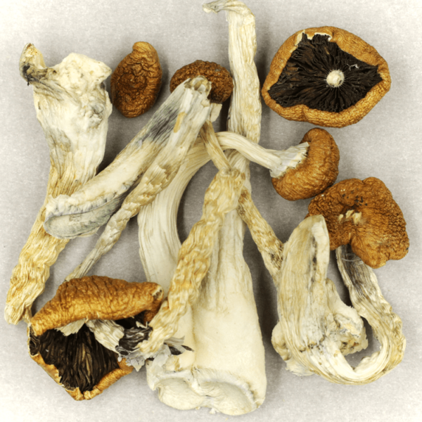 Treasure Coast | Get Kush Canada