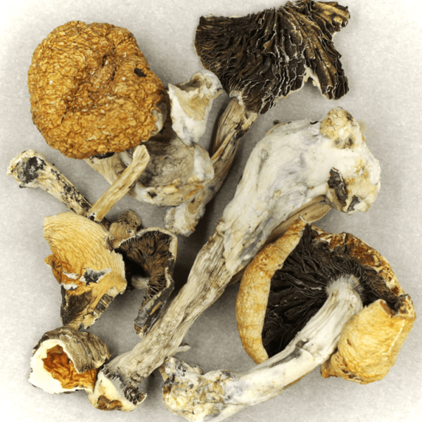 Treasure Coast | Get Kush Canada