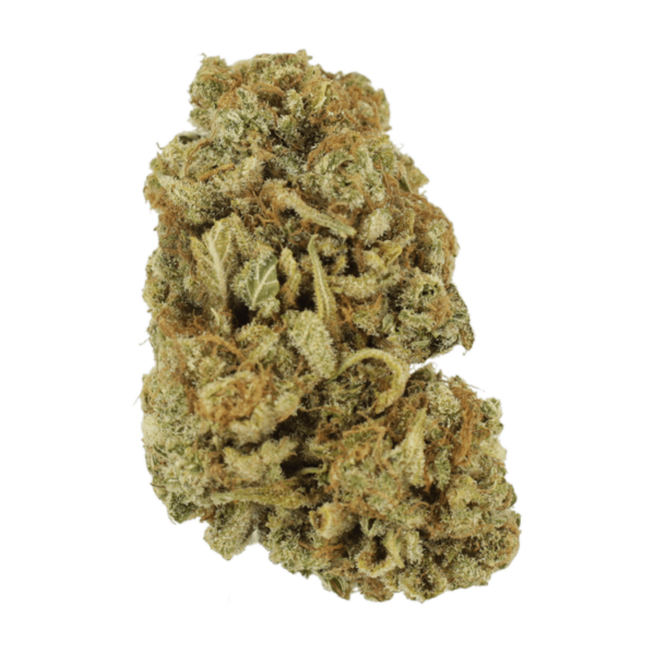 Blackwater | Get Kush Canada