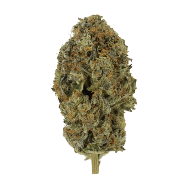 Acapulco Gold | Get Kush Canada