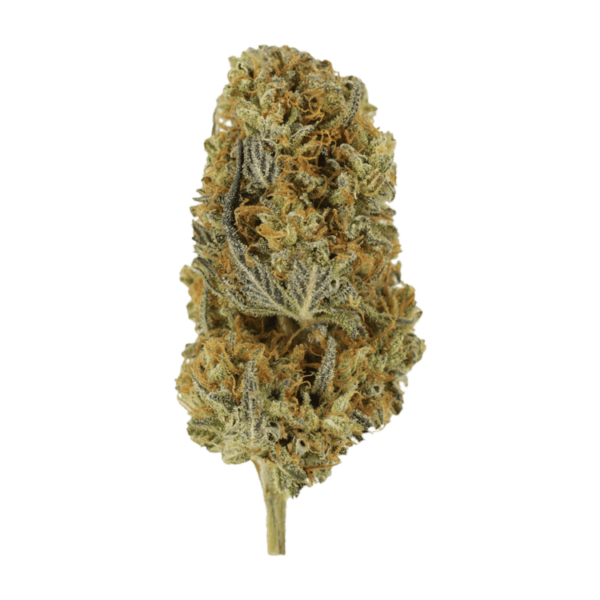 Headband | Get Kush Canada