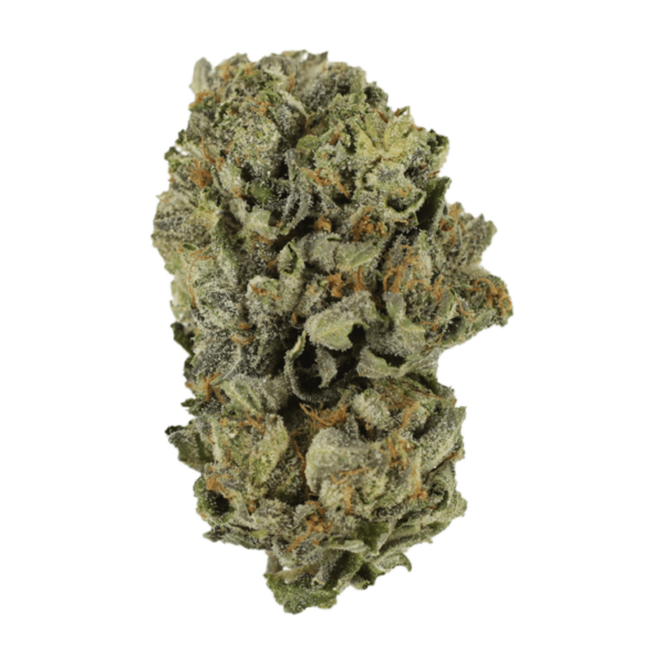 Cerebro Haze | Get Kush Canada